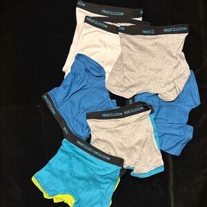 Fruit of the Loom Men's Briefs in Blue, Gray, and White